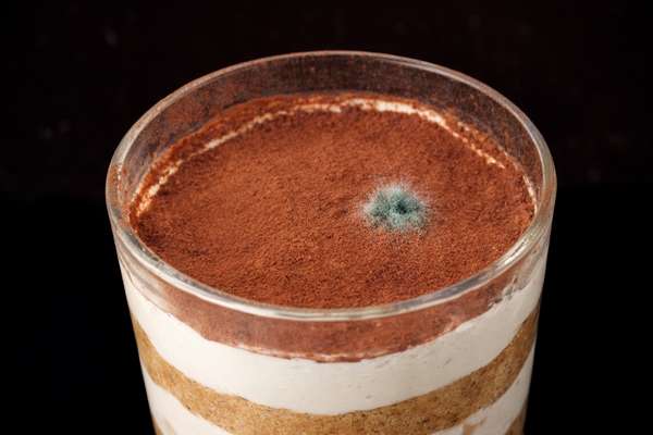 contamination moisissures agroalimentaire sur dessert type tiramisu en surface