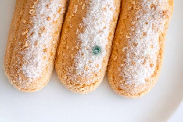contamination moisissures agroalimentaire sur biscuits cuillère aw trop élevée