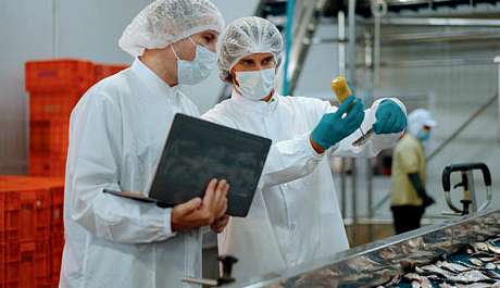 Préparation d’un audit de certification IFS Food